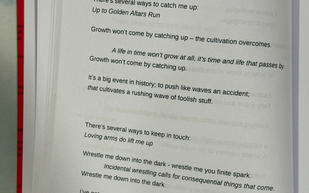 Wrestle Me You Finite Spark