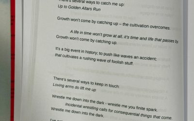 Wrestle Me You Finite Spark