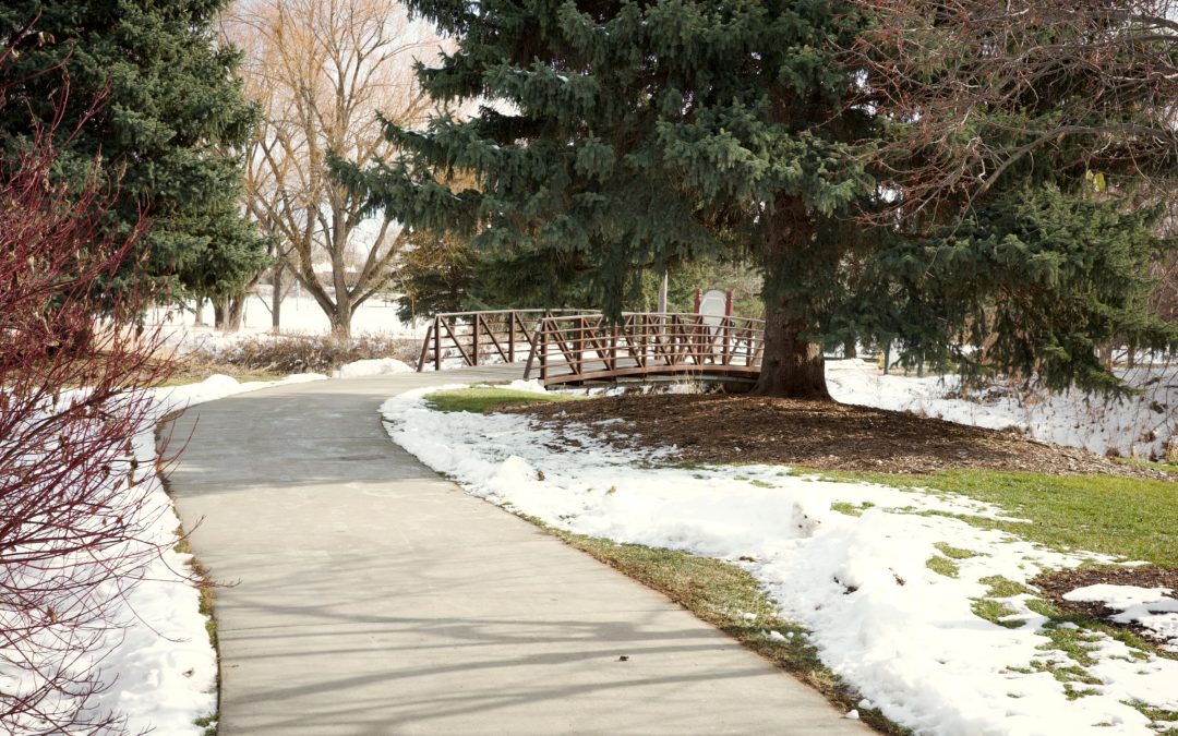 Parkbridge